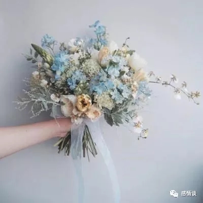 浪漫之花【图片】